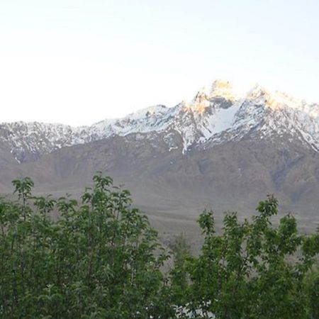 Hotel International Residency Kargil Kültér fotó