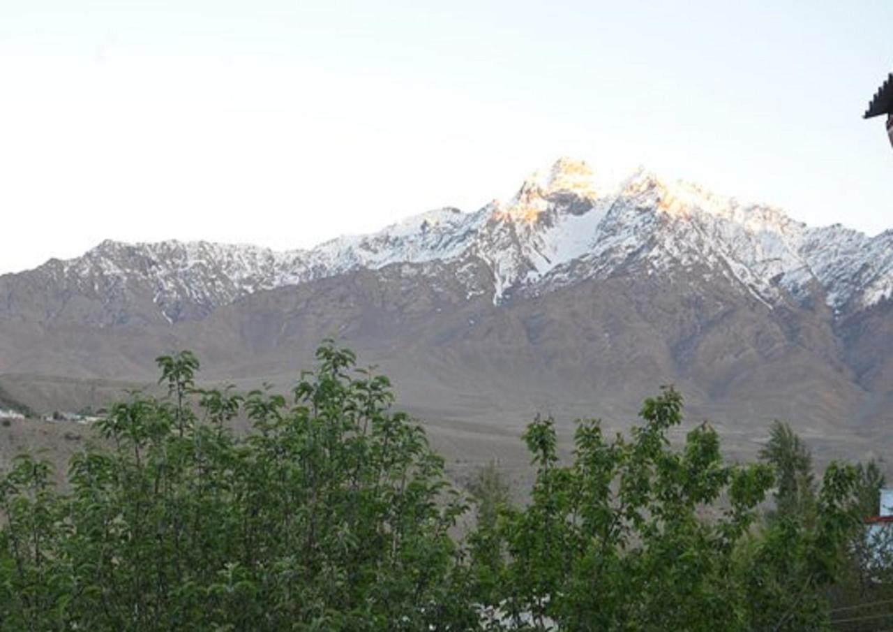 Hotel International Residency Kargil Kültér fotó